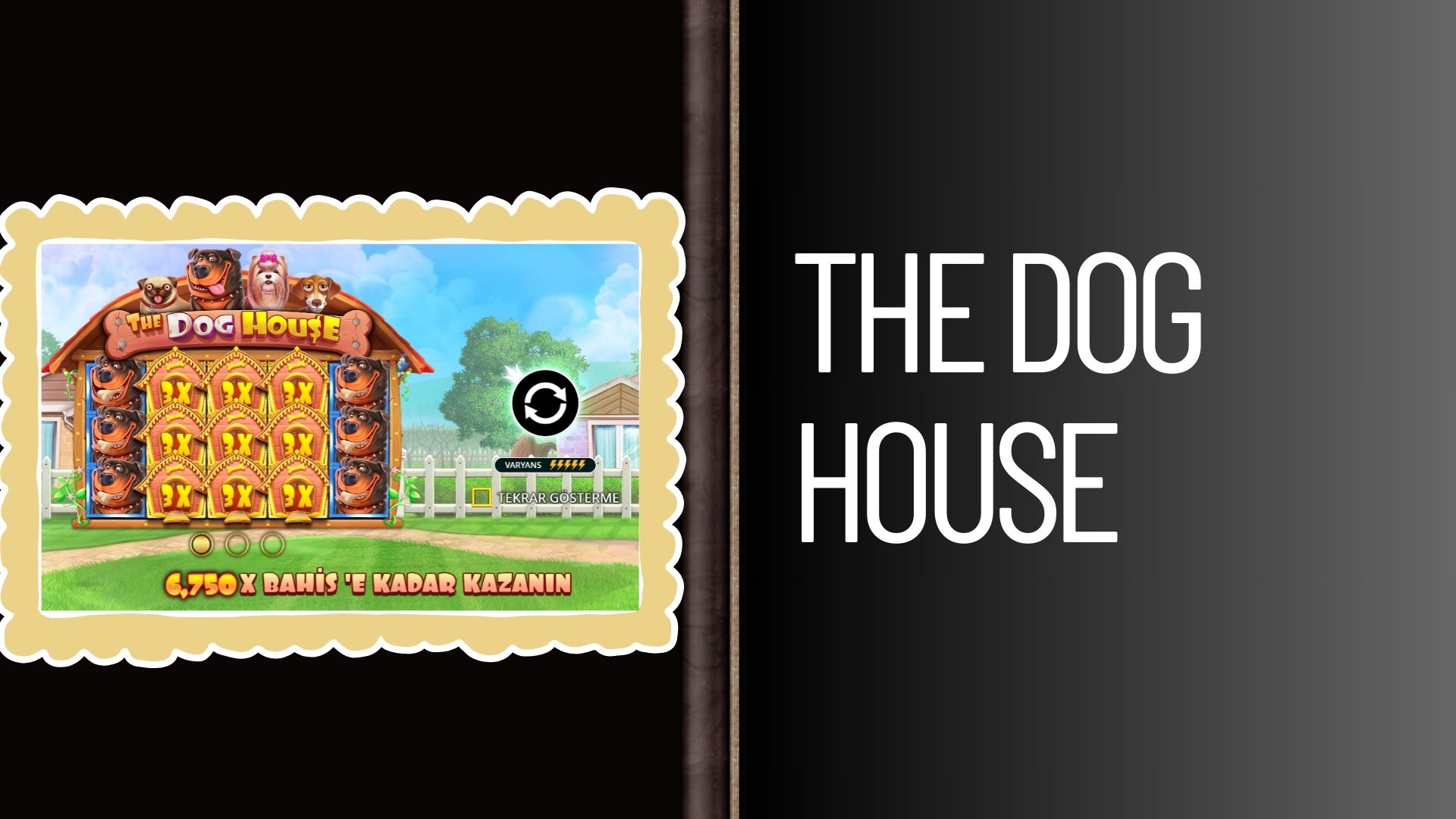 The Dog House